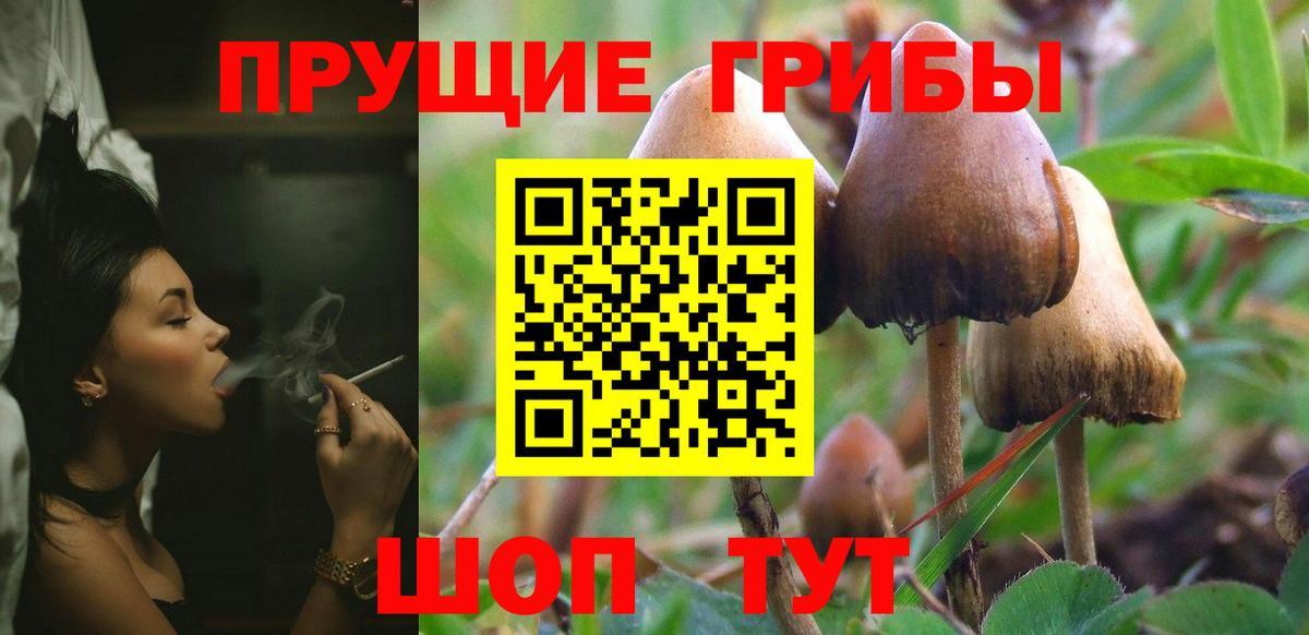 Псилоцибиновые грибы MAGIC MUSHROOMS Сертолово